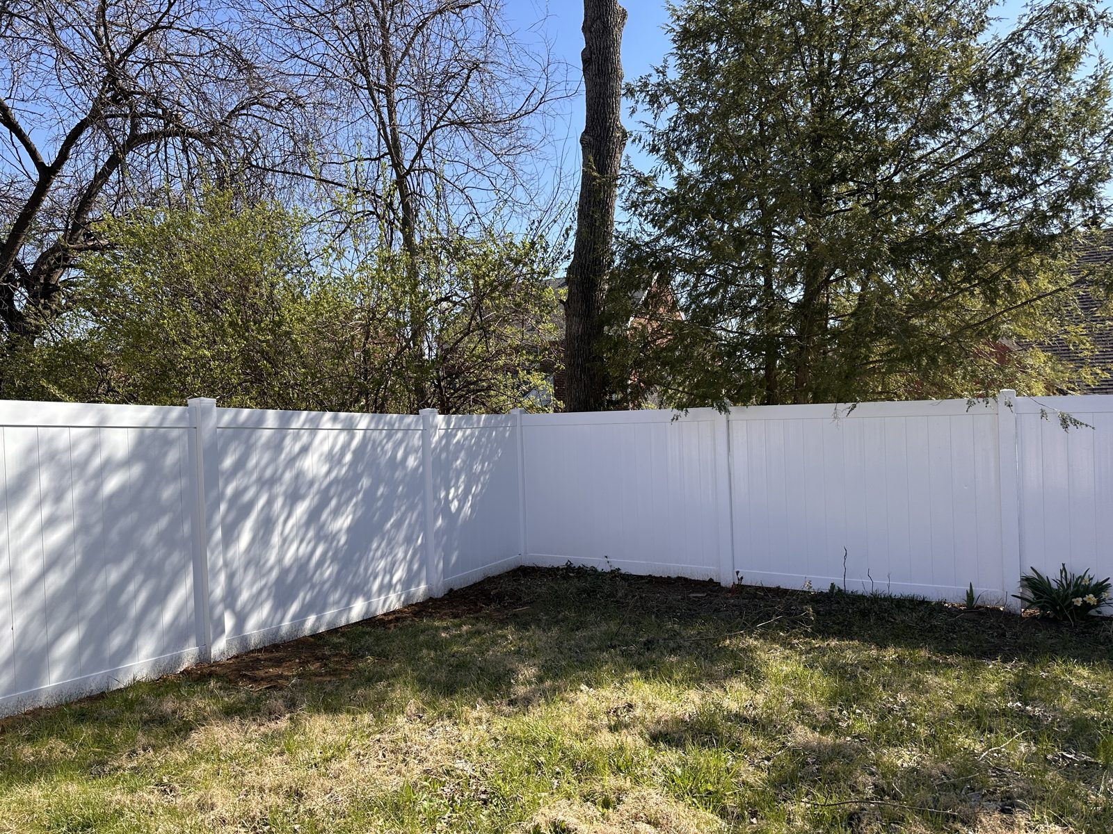 White vinyl privacy fence enclosing a Cincinnati backyard