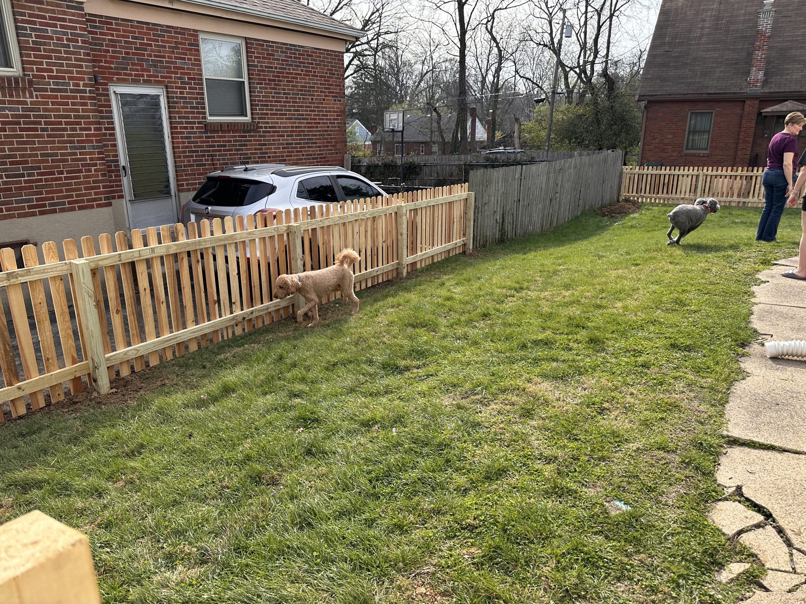 Wood picket fence around a Cincinnati backyard