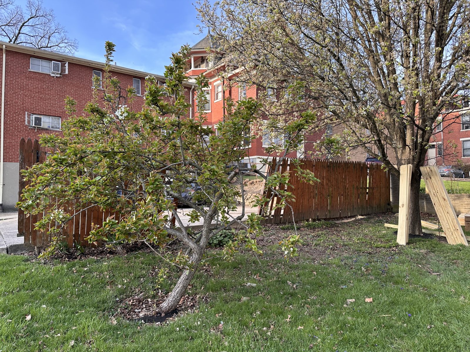 Stained wood privacy fence around a Cincinnati yard