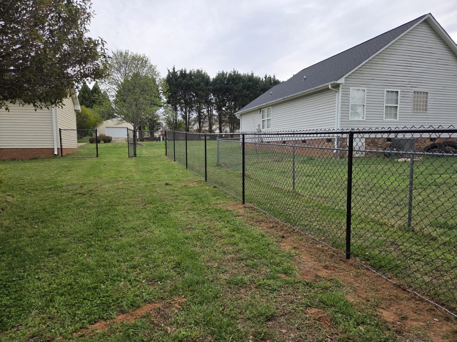 Black chain link fence around a Greenville backyard